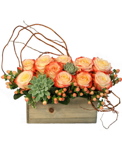 modern-arrangement-AO110118.425.jpg