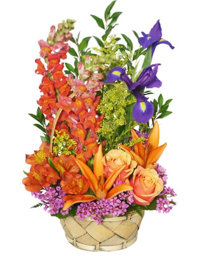 multi-color-memories-flower-arrangement-BA1409.425.jpg