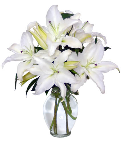 casa-blanca-lilies-arrangement-VA3509.425.jpg