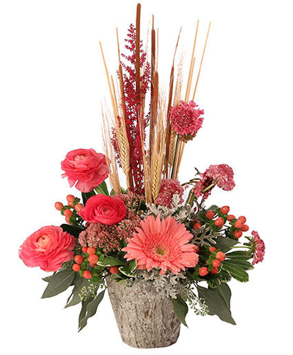 coral-comforts-floral-arrangement-AO90919.425.jpg