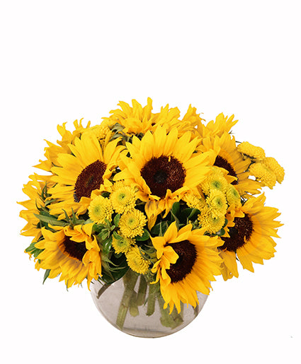 sunny-escape-flower-arrangement-VA92619.425.jpg